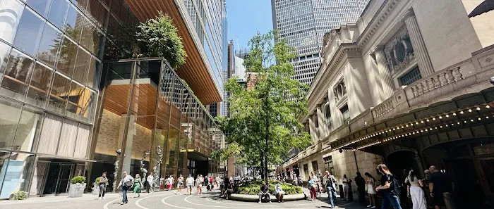 Vanderbilt Avenue Plaza Picture 1