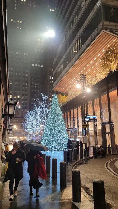 Vanderbilt Avenue Plaza Picture 7