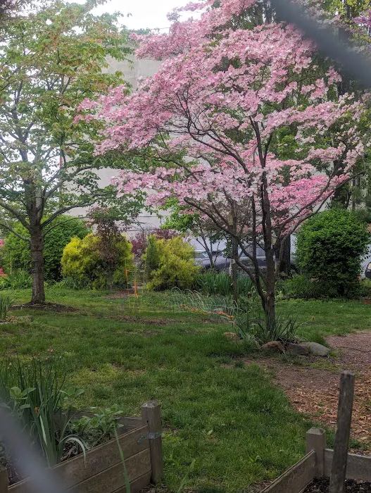 Urban Meadow Picture 8