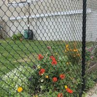 South Brooklyn Children's Garden ico