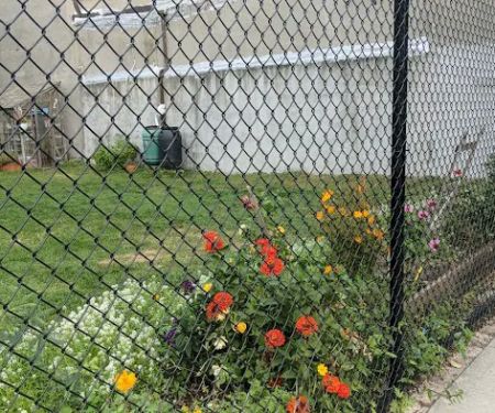 South Brooklyn Children's Garden