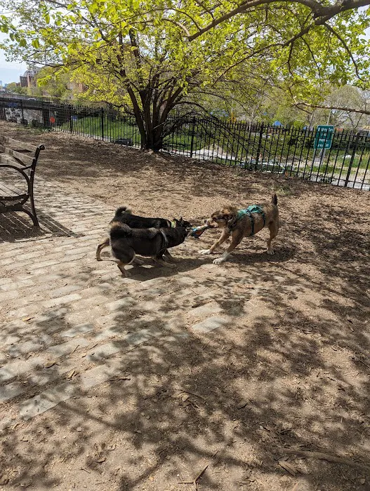 Cobble Hill Dog Park Picture 4