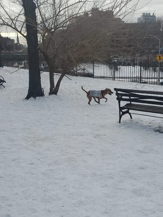 Cobble Hill Dog Park Picture 5