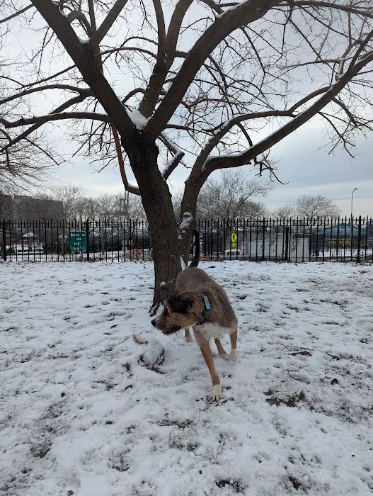Cobble Hill Dog Park Picture 3