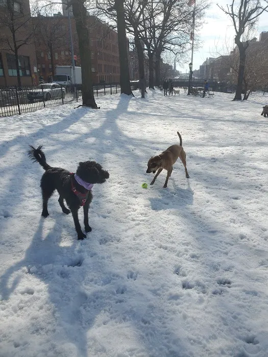 Cobble Hill Dog Park Picture 2