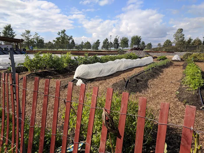 Governors Island Teaching Garden Picture 9