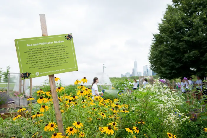 Governors Island Teaching Garden Picture 7