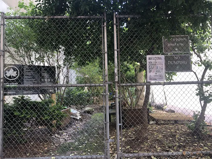 Hope Garden Picture 5