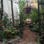 Creative Little Garden