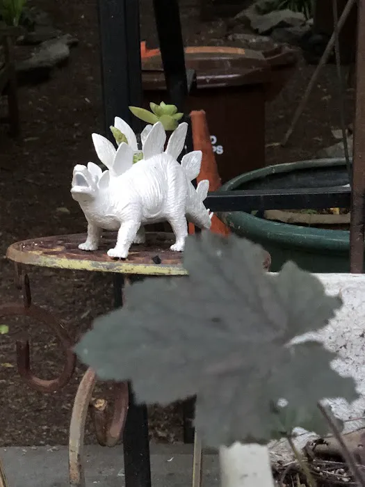 Creative Little Garden Picture 9