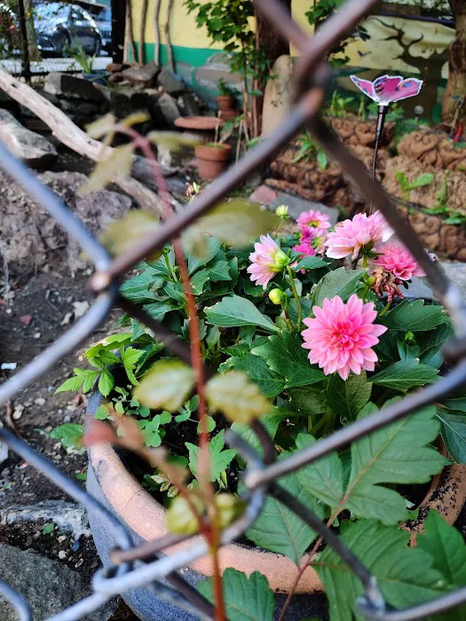 Children's Magical Garden Picture 1