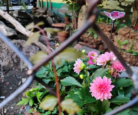 Children's Magical Garden
