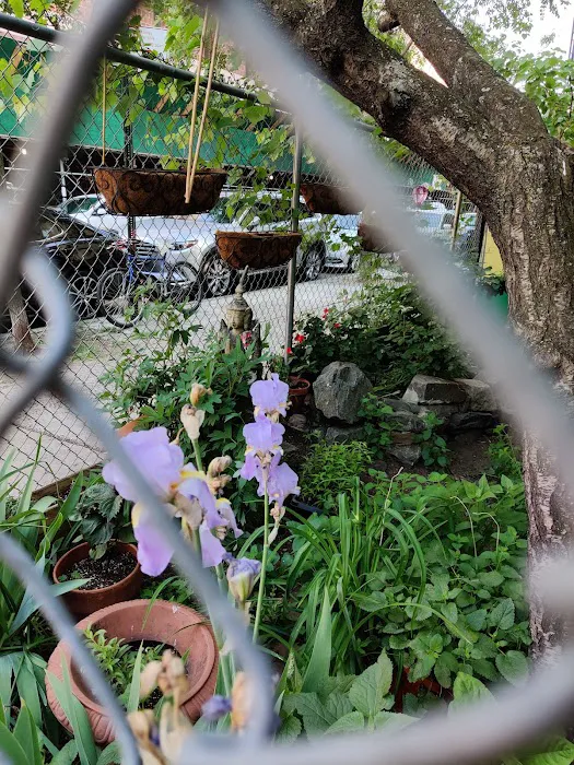 Children's Magical Garden Picture 2