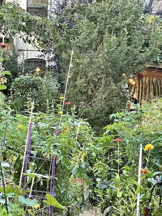 Campos Community Garden Picture 2
