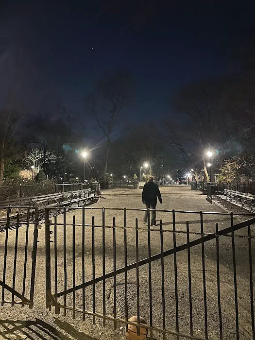 Tompkins Square Dog Run Picture 7