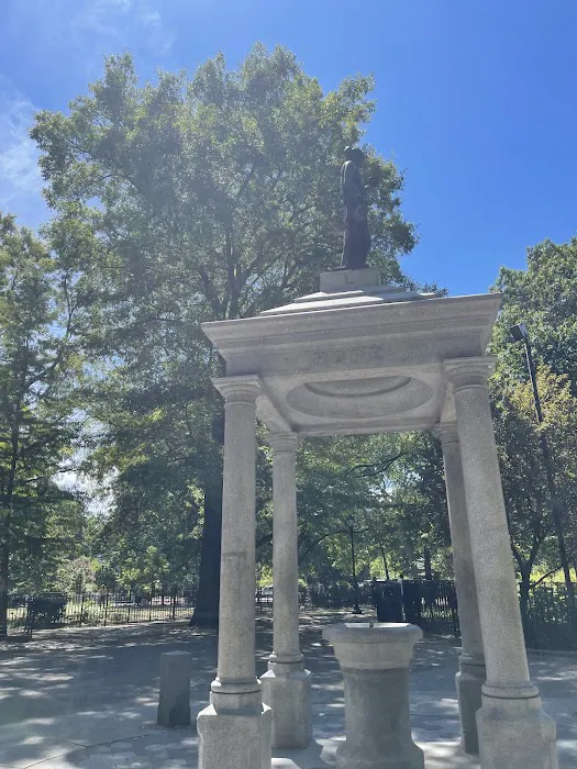 Tompkins Square Dog Run Picture 9