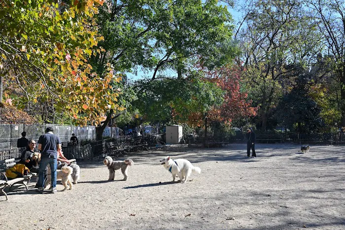 Tompkins Square Dog Run Picture 1