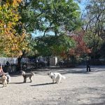 Tompkins Square Dog Run
