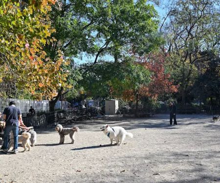 Tompkins Square Dog Run