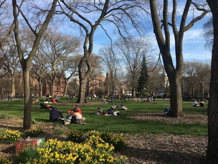 Tompkins Square Park Picture 2