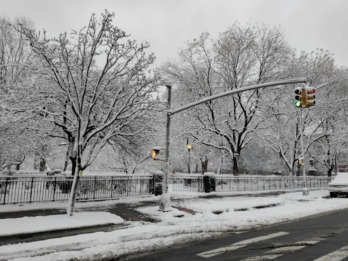Tompkins Square Park Picture 10