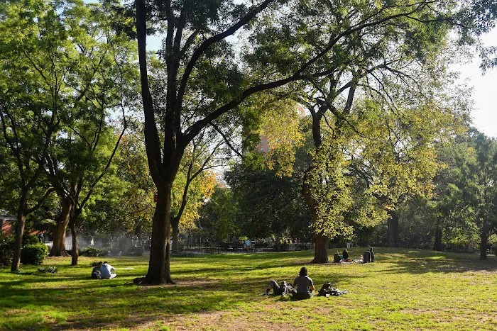 Tompkins Square Park Picture 3