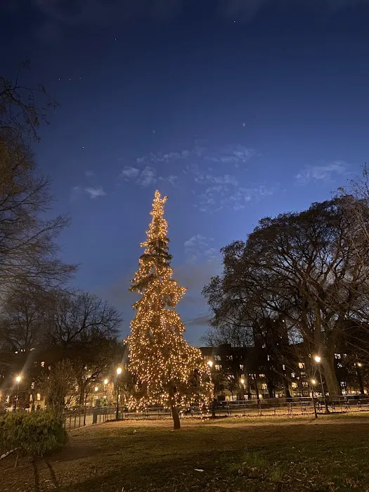 Tompkins Square Park Picture 6