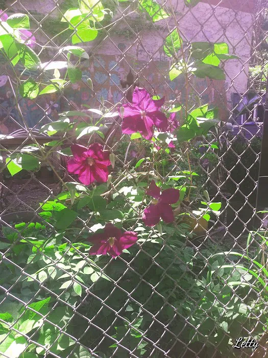 Joseph C. Sauer Park Picture 2