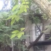 Joseph C. Sauer Park ico