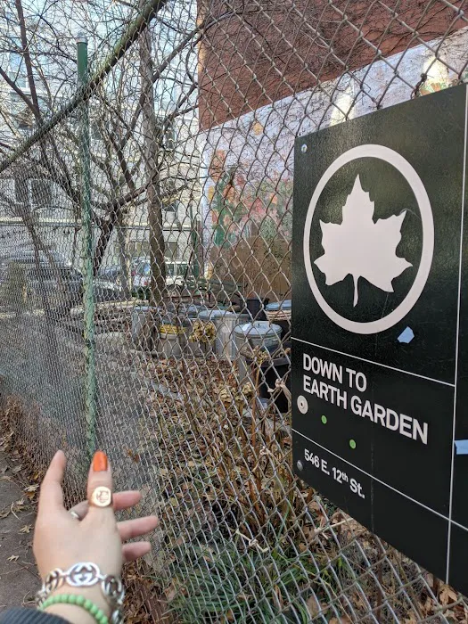 Down to Earth Garden Picture 3