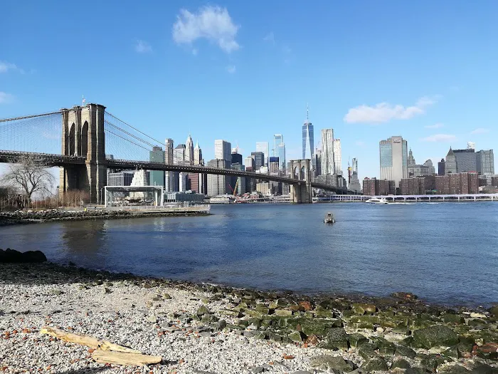 Brooklyn Bridge Park Picture 9
