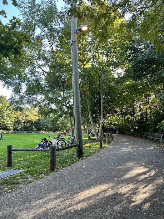 Bridge View Lawn Picture 4