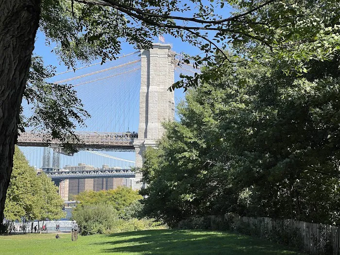Bridge View Lawn Picture 10