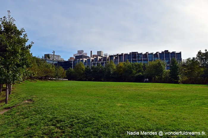 Harbor View Lawn Picture 2