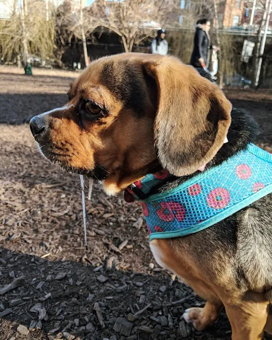 Hillside Dog Park Picture 4