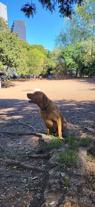 Hillside Dog Park Picture 6