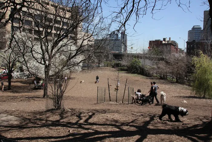 Hillside Dog Park Picture 7