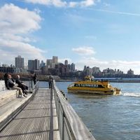 Pier 1 Salt Marsh ico