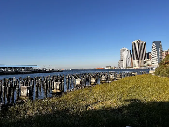 Pier 1 Salt Marsh Picture 6