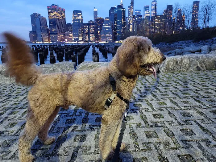 Old Pier 1 Picture 6