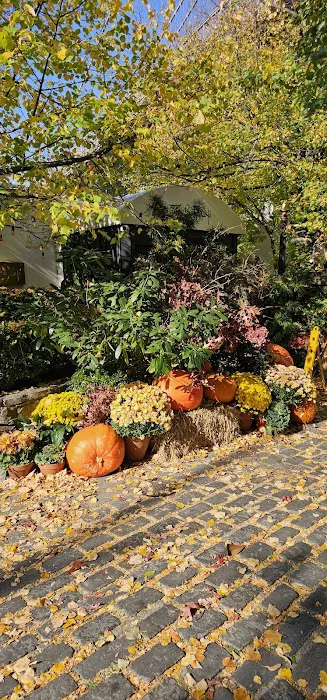 River Café Garden Picture 1
