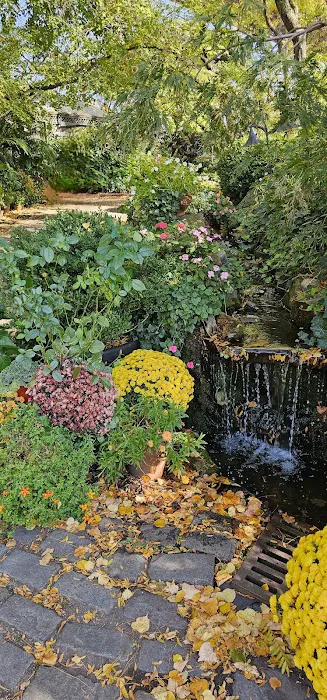River Café Garden Picture 2