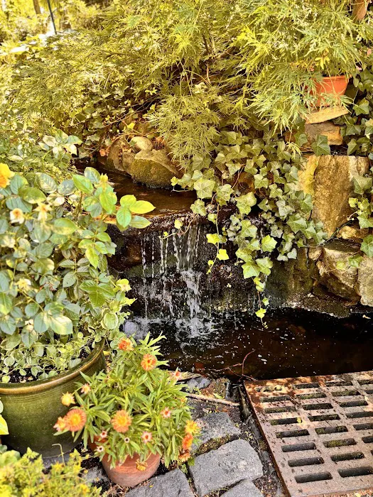 Jardin River Picture 7