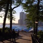 Brooklyn Bridge Park Conservancy