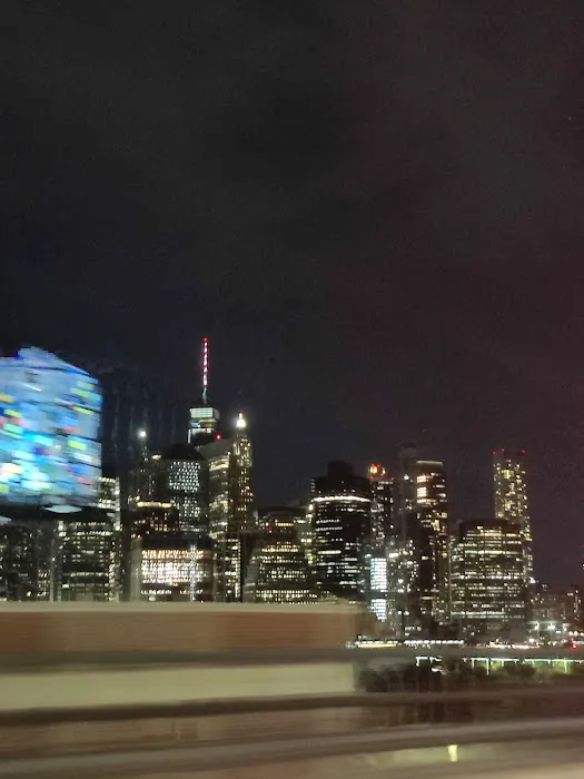 Brooklyn Bridge Park Conservancy Picture 4