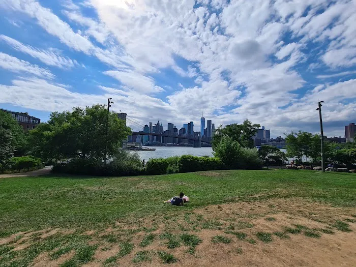 Brooklyn Bridge Park Conservancy Picture 8
