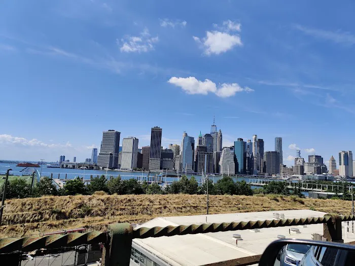Brooklyn Bridge Park Conservancy Picture 7