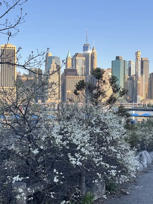 Pier 5 Uplands Lawn Picture 1