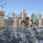 Pier 5 Uplands Lawn