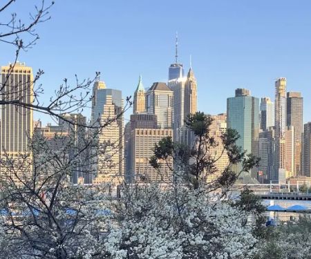 Pier 5 Uplands Lawn